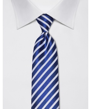 Вратовръзка в синьо и бяло