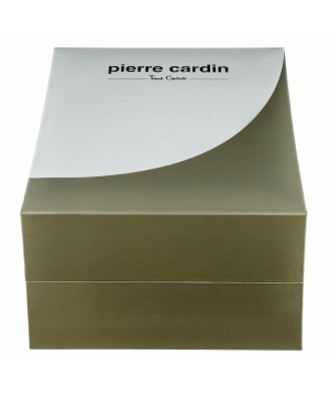 Мъжки часовник Pierre Cardin в сребрист и златист цвят